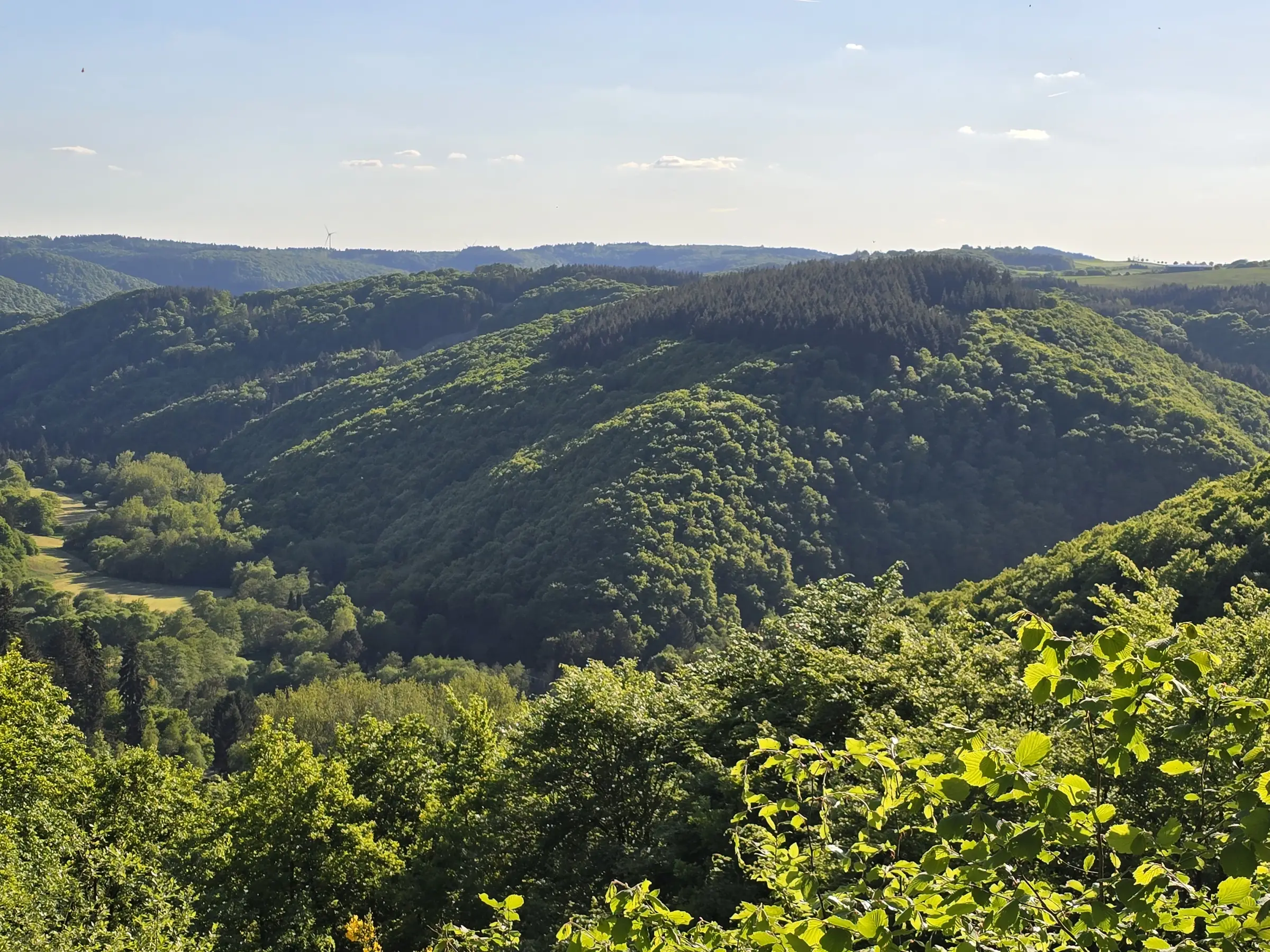 Adventure Alftal: Bushcraft-Lager in der Vulkaneifel