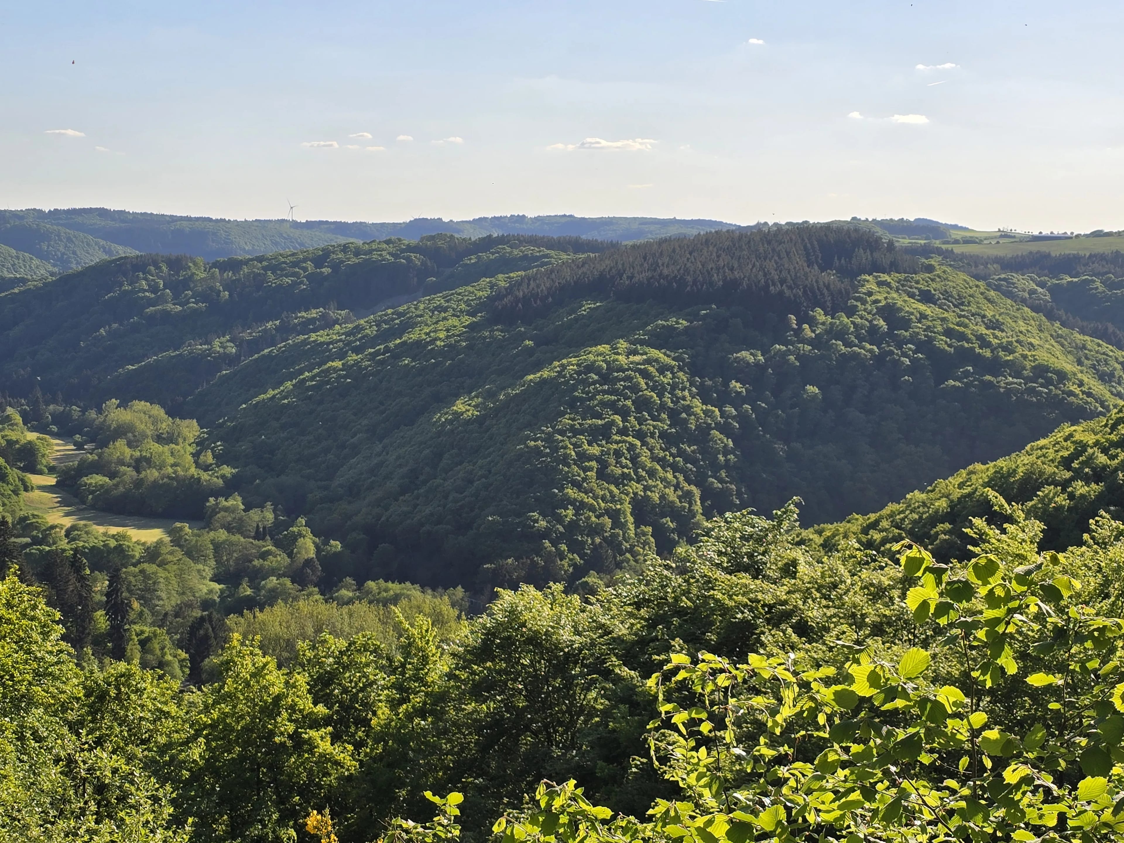 Adventure Alftal: Bushcraft-Lager in der Vulkaneifel